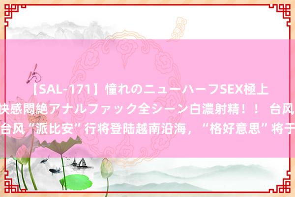 【SAL-171】憧れのニューハーフSEX極上射精タイム イキまくり快感悶絶アナルファック全シーン白濃射精！！ 台风“派比安”行将登陆越南沿海，“格好意思”将于24日晚登陆台湾沿海