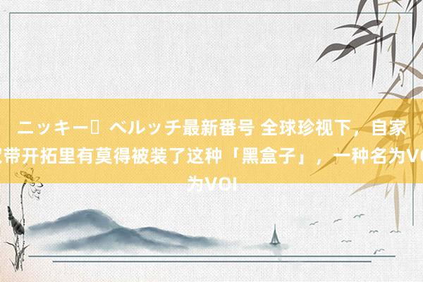 ニッキー・ベルッチ最新番号 全球珍视下，自家宽带开拓里有莫得被装了这种「黑盒子」，一种名为VOI