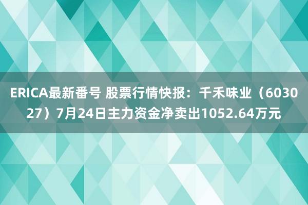 ERICA最新番号 股票行情快报：千禾味业（603027）7月24日主力资金净卖出1052.64万元