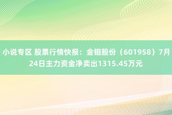 小说专区 股票行情快报：金钼股份（601958）7月24日主力资金净卖出1315.45万元