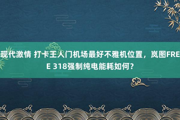 现代激情 打卡王人门机场最好不雅机位置，岚图FREE 318强制纯电能耗如何？