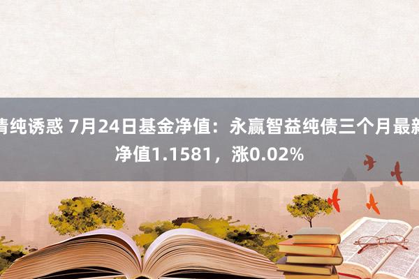 清纯诱惑 7月24日基金净值：永赢智益纯债三个月最新净值1.1581，涨0.02%