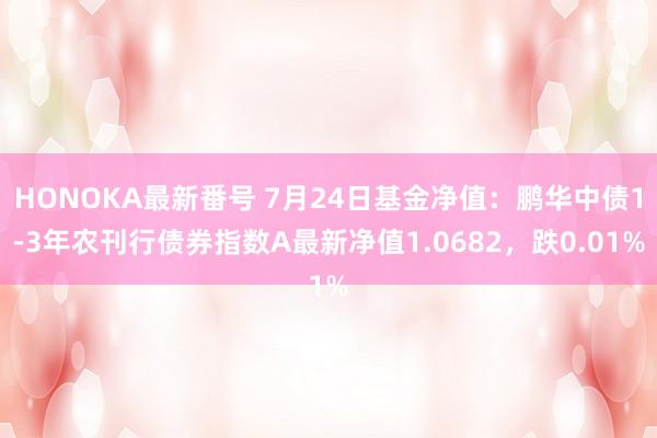 HONOKA最新番号 7月24日基金净值：鹏华中债1-3年农刊行债券指数A最新净值1.0682，跌0.01%