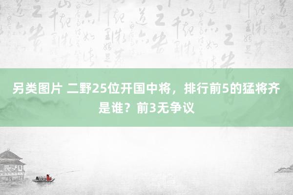 另类图片 二野25位开国中将，排行前5的猛将齐是谁？前3无争议