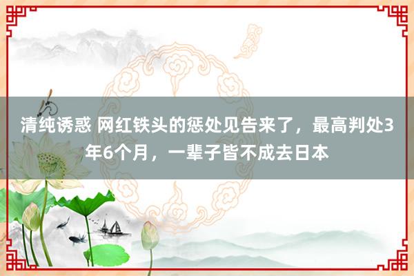 清纯诱惑 网红铁头的惩处见告来了，最高判处3年6个月，一辈子皆不成去日本