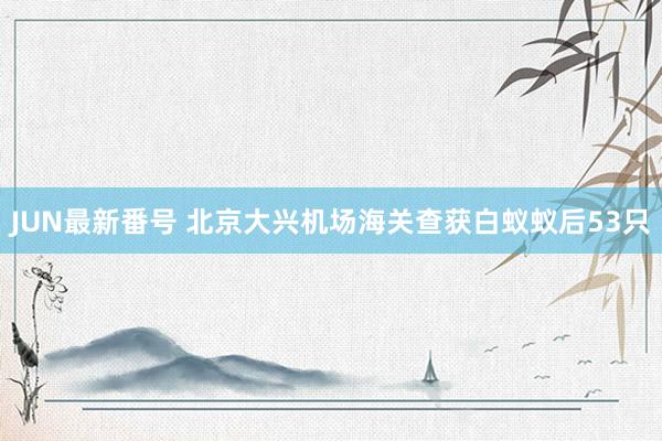 JUN最新番号 北京大兴机场海关查获白蚁蚁后53只