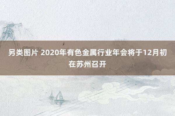 另类图片 2020年有色金属行业年会将于12月初在苏州召开