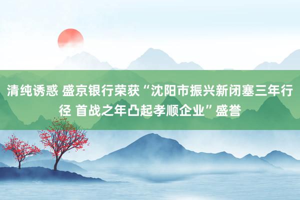 清纯诱惑 盛京银行荣获“沈阳市振兴新闭塞三年行径 首战之年凸起孝顺企业”盛誉