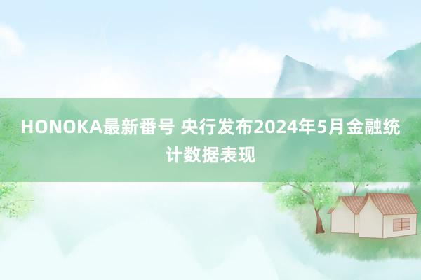 HONOKA最新番号 央行发布2024年5月金融统计数据表现