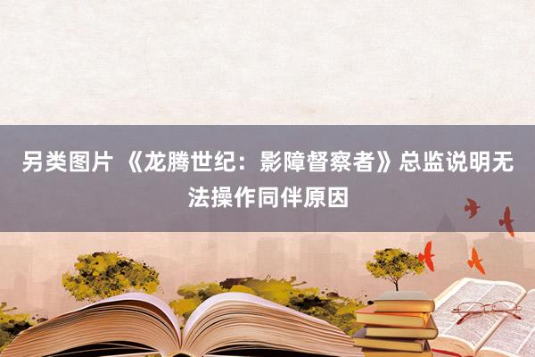 另类图片 《龙腾世纪：影障督察者》总监说明无法操作同伴原因