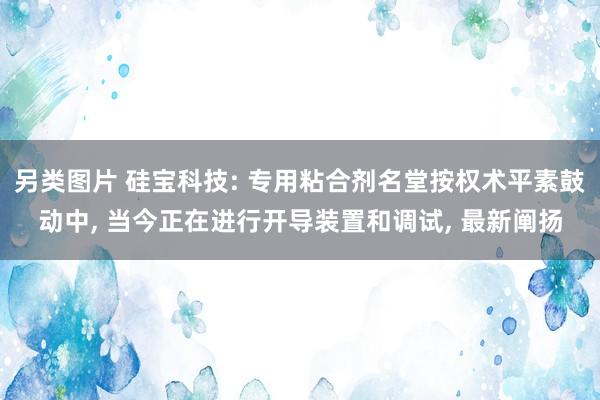 另类图片 硅宝科技: 专用粘合剂名堂按权术平素鼓动中， 当今正在进行开导装置和调试， 最新阐扬