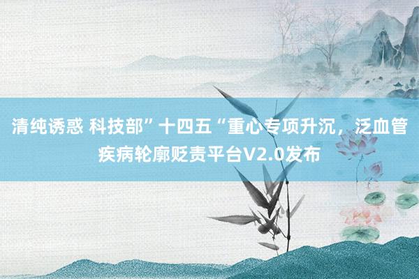 清纯诱惑 科技部”十四五“重心专项升沉，泛血管疾病轮廓贬责平台V2.0发布