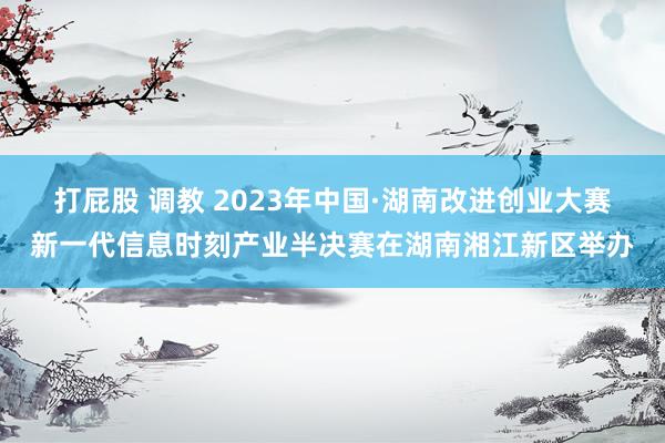 打屁股 调教 2023年中国·湖南改进创业大赛新一代信息时刻产业半决赛在湖南湘江新区举办