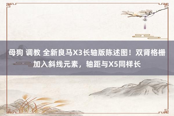 母狗 调教 全新良马X3长轴版陈述图！双肾格栅加入斜线元素，轴距与X5同样长