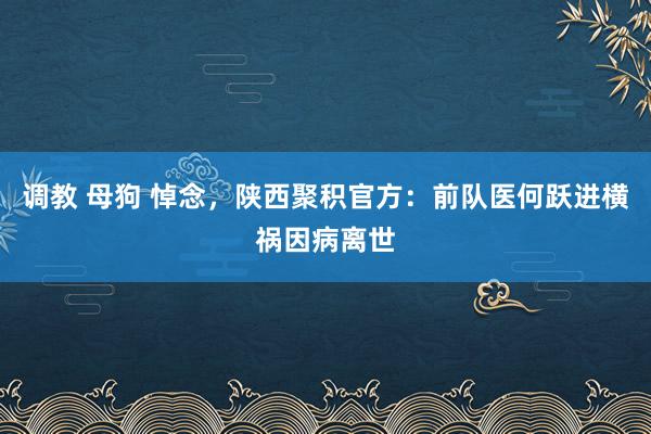 调教 母狗 悼念，陕西聚积官方：前队医何跃进横祸因病离世