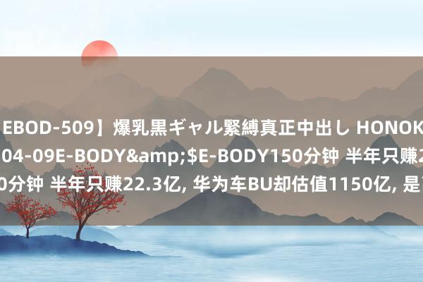 【EBOD-509】爆乳黒ギャル緊縛真正中出し HONOKA</a>2016-04-09E-BODY&$E-BODY150分钟 半年只赚22.3亿， 华为车BU却估值1150亿， 是高了如故低了?