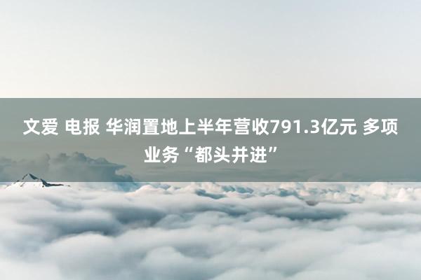 文爱 电报 华润置地上半年营收791.3亿元 多项业务“都头并进”