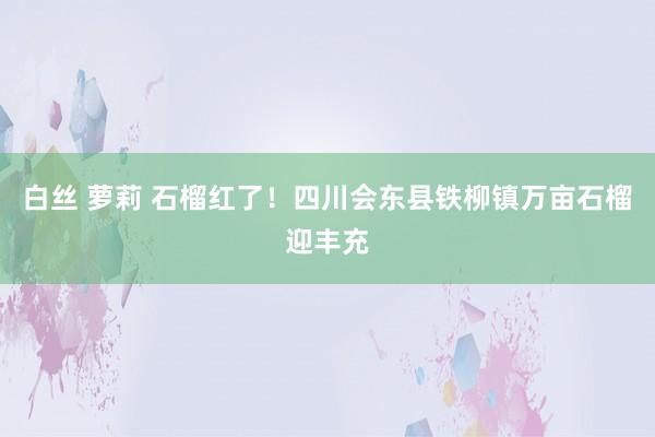 白丝 萝莉 石榴红了！四川会东县铁柳镇万亩石榴迎丰充