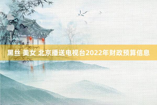 黑丝 美女 北京播送电视台2022年财政预算信息