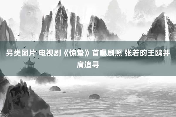 另类图片 电视剧《惊蛰》首曝剧照 张若昀王鸥并肩追寻