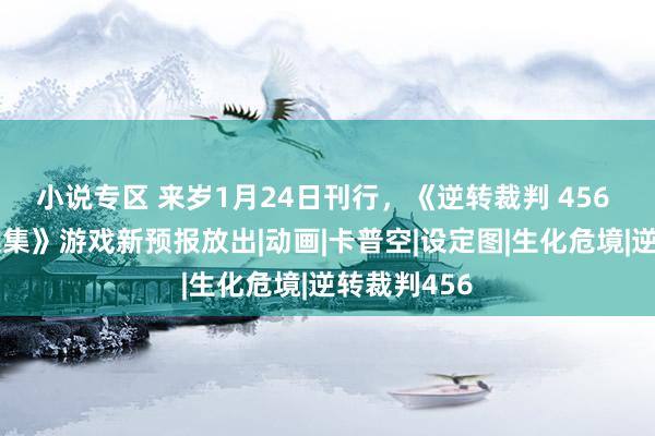 小说专区 来岁1月24日刊行，《逆转裁判 456 王泥喜精选集》游戏新预报放出|动画|卡普空|设定图|生化危境|逆转裁判456